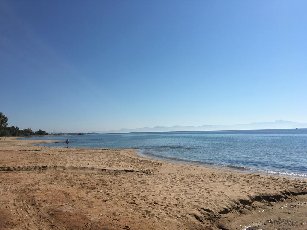 Hector Villa Airport By Airstay Αρτέμιδα Εξωτερικό φωτογραφία